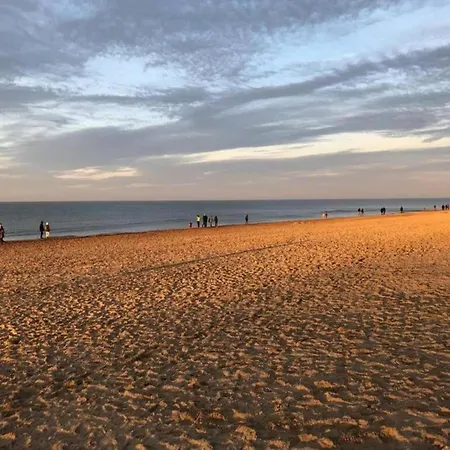 With Sea View Near Belgian Coast, Cleaning Included Koksijde