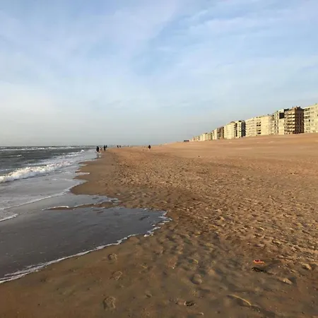 Apartamento With Sea View Near Belgian Coast, Cleaning Included *