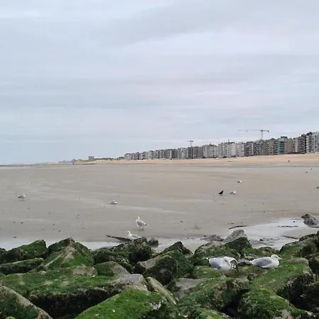 With Sea View Near Belgian Coast, Cleaning Included Apartamento *