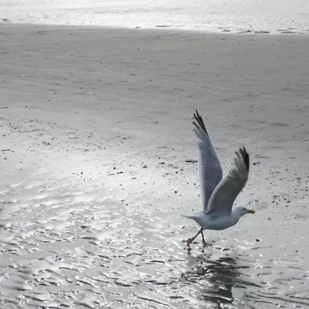 With Sea View Near Belgian Coast, Cleaning Included Коксейде