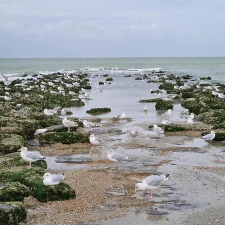With Sea View Near Belgian Coast, Cleaning Included * Коксейде